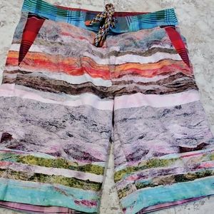 Robert Graham swim trunks